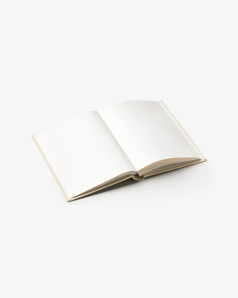 Love Is In the Air Photo Album Book